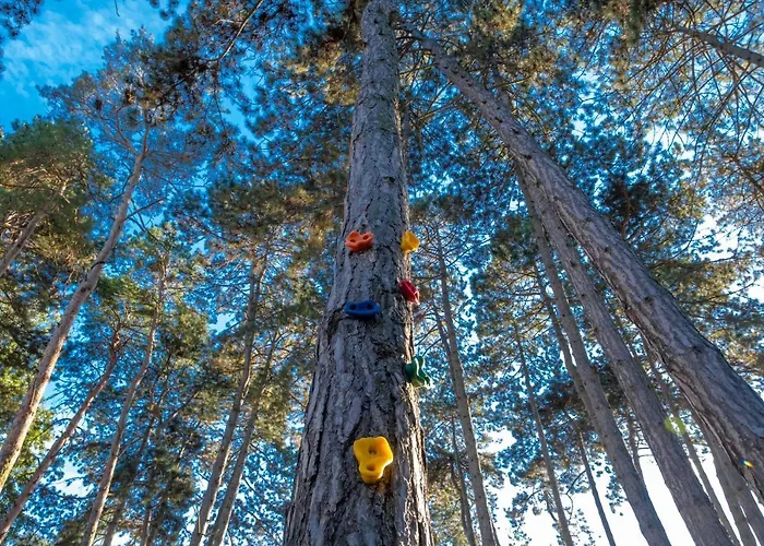 Szent Bernadett Csaladi Apartmanhaz *